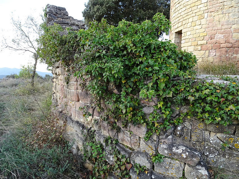 Castillo de Cas