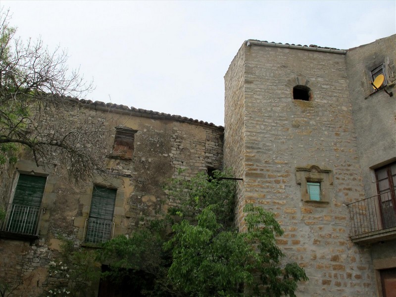 Castillo de La Prenyanosa