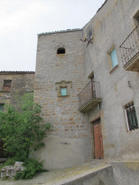 Castillo de La Prenyanosa