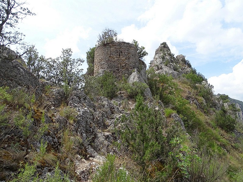Castillo de la Pertusa