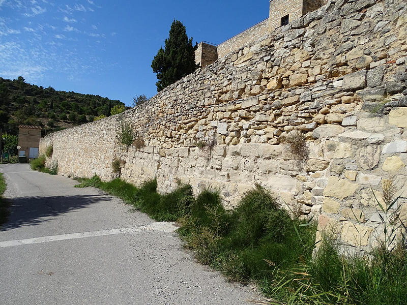 Muralla urbana de Vallbona de Les Monges