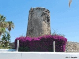 Torre Muelle