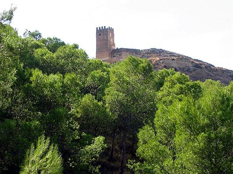 Castillo de Pliego