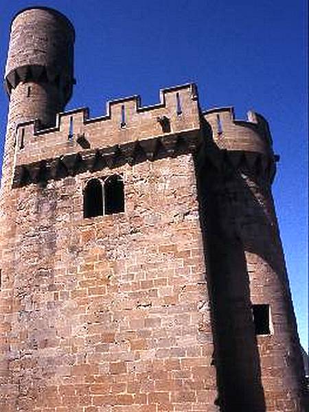 Castillo palacio de Olite
