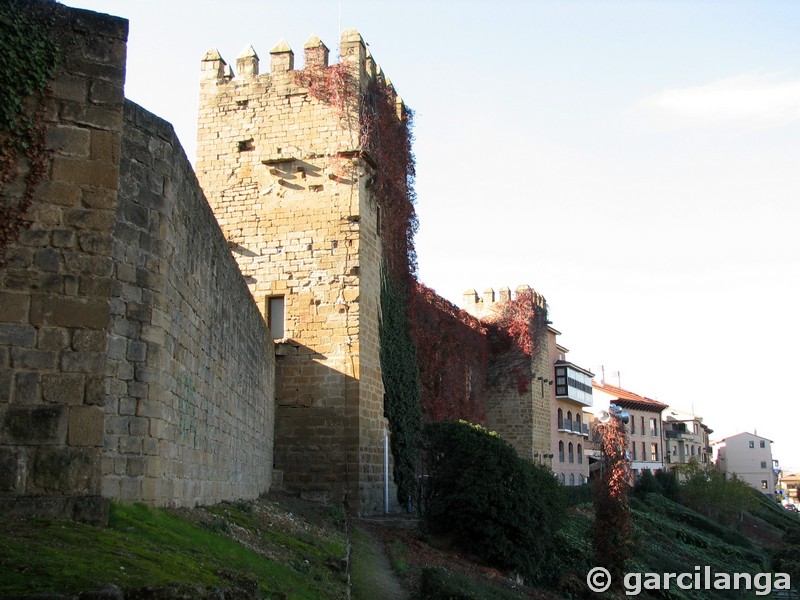 Palacio fortificado de los Teobaldos