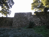 Castillo del Castro