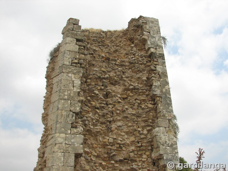 Castillo de Torres Alocaz
