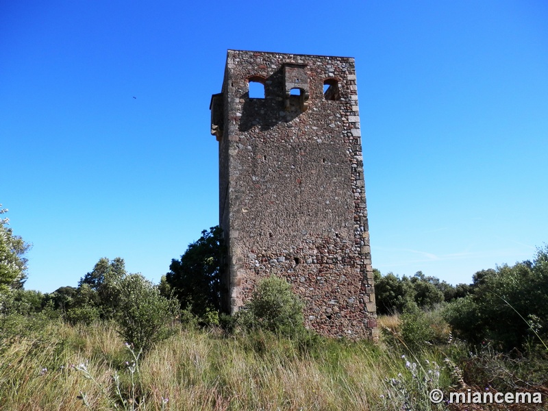 Torre del Mas d'en Bisbe