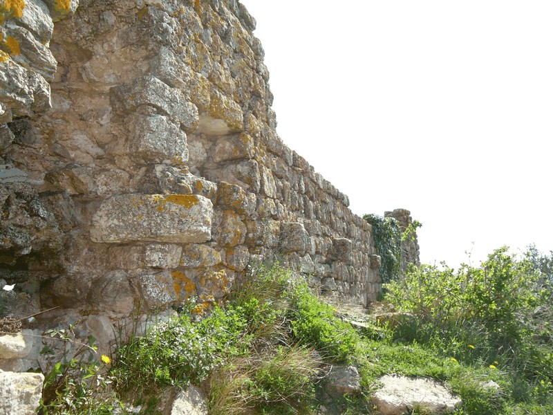 Castillo de Selmella