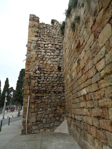 Torre del Tintorero