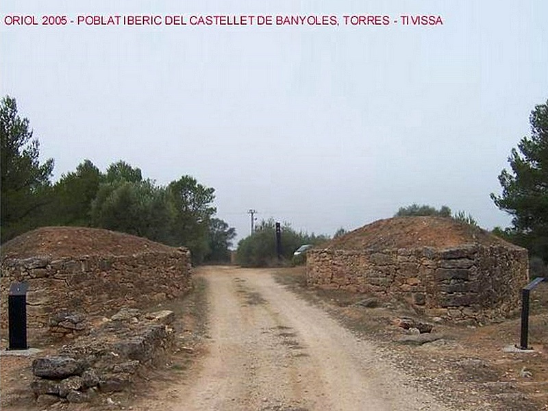 Poblado íbero del Castellet de Banyoles