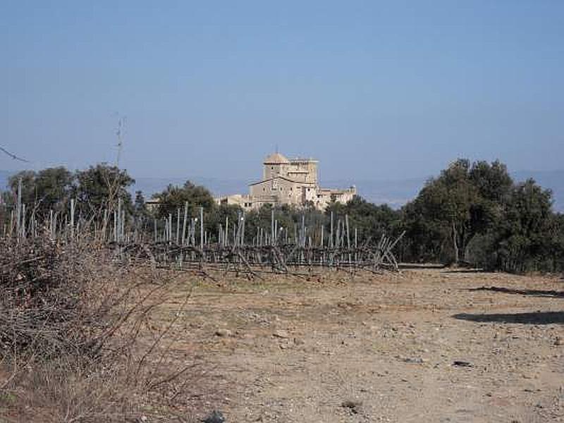 Castillo palacio de Riudabella