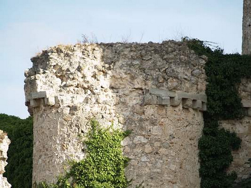 Castillo de Puñoenrostro