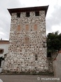 Castillo de San Román de los Montes