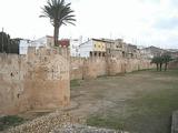 Muralla urbana de Alzira