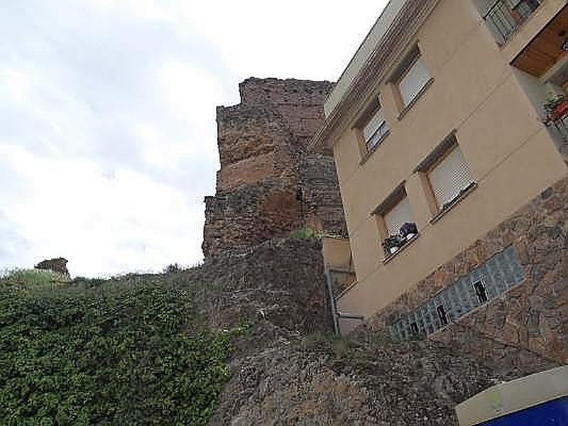 Castillo del Rey Ayubb