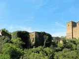 Torre Infanzona