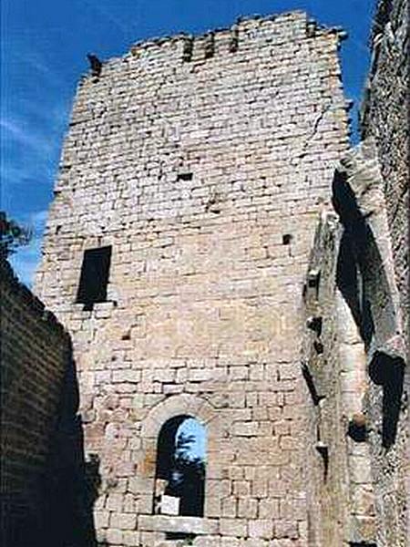 Castillo de Roita