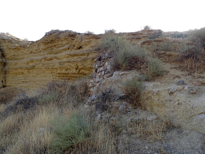 Imagen de Castillo de Alicún