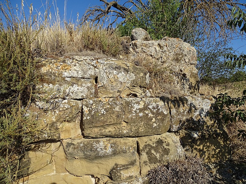 Imagen de Torre de Abrisén