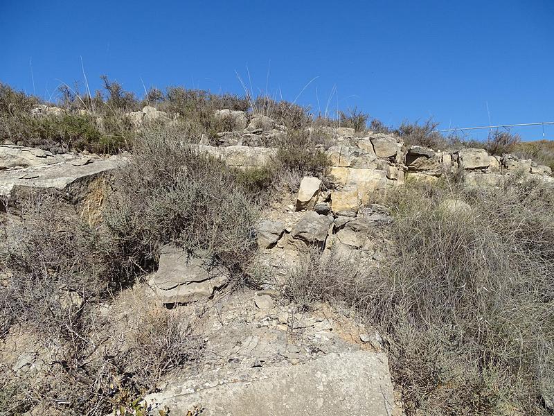 Imagen de Torre de La Forza