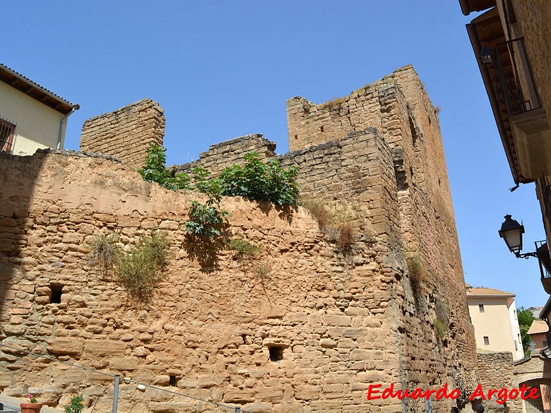 Imagen de Castillo de Artasona