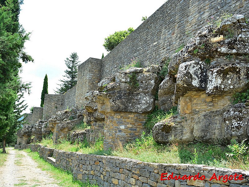 Imagen de Muralla urbana de Roda de Isábena
