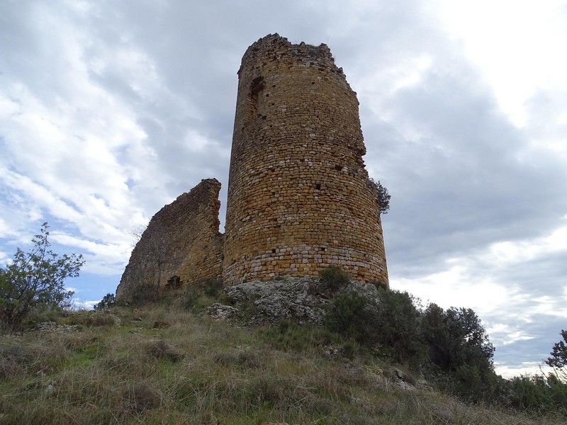 Imagen de Castillo de Falcés