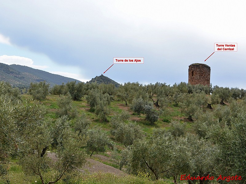 Imagen de Torre de los Ajos
