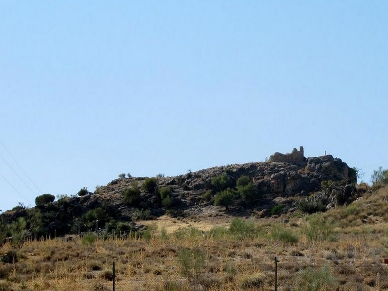 Imagen de Torre Mocha