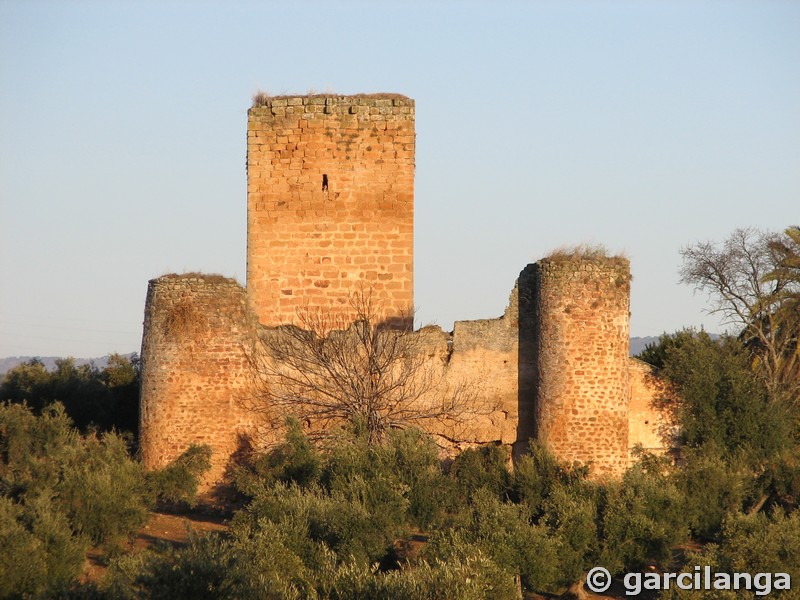 Imagen de Castillo de La Aragonesa
