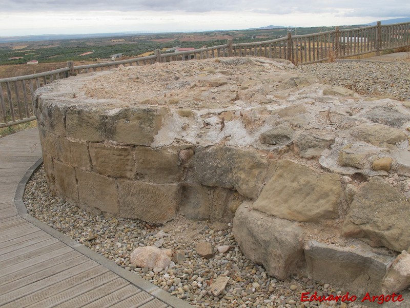 Imagen de Castillo de Ausejo