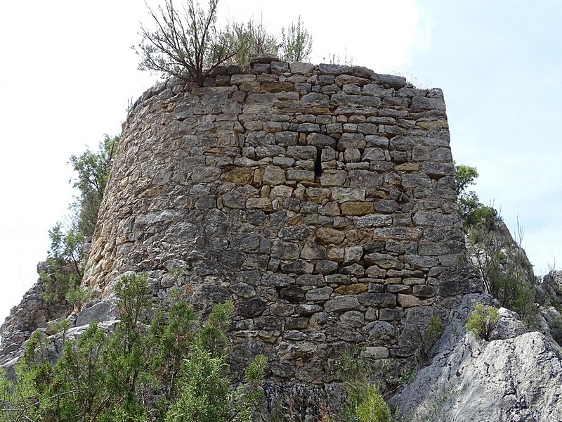 Imagen de Castillo de la Pertusa