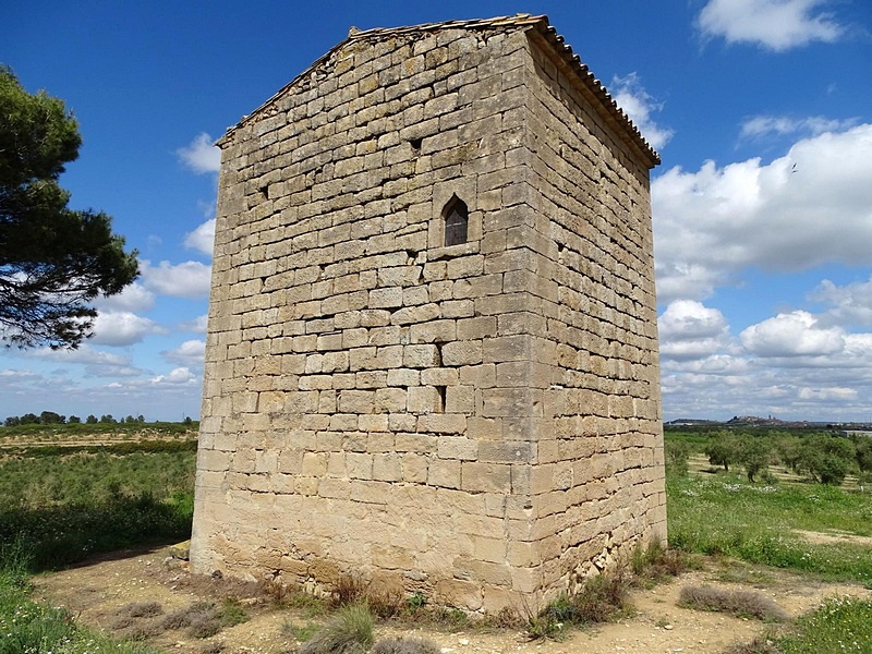 Imagen de Torre de Escarrega