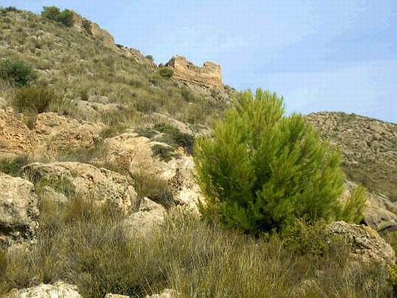 Imagen de Castillo de Chuecos