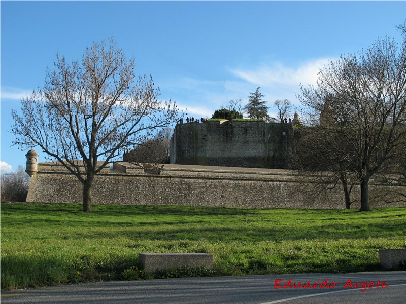 Imagen de Muralla abaluartada de Pamplona