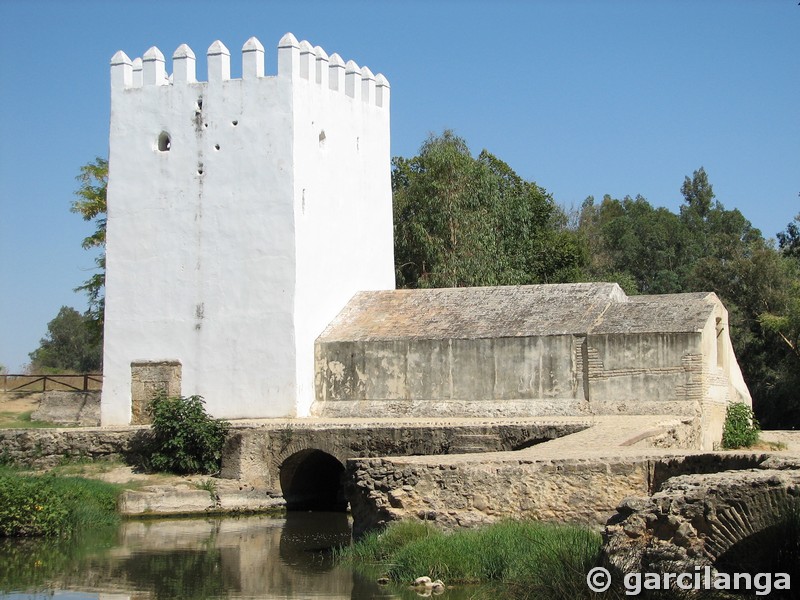 Imagen de Molino fortificado Las Aceñas