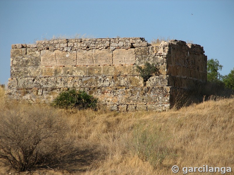 Imagen de Torre de la Membrilla