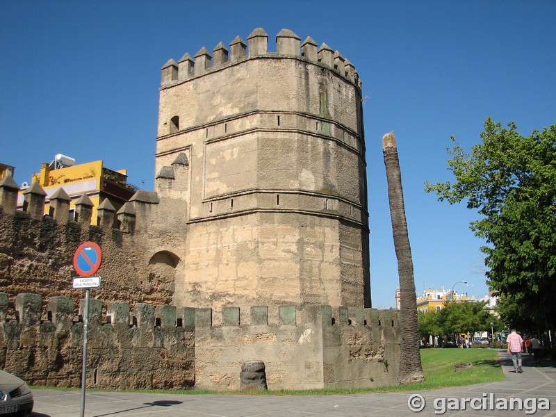 Imagen de Torre Blanca