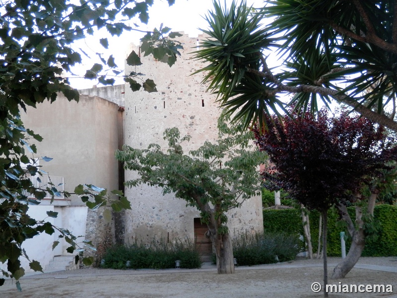 Imagen de Torre del Limón