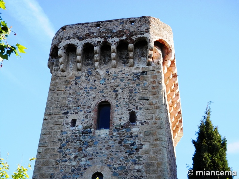 Imagen de Torre del Santuari del Camí