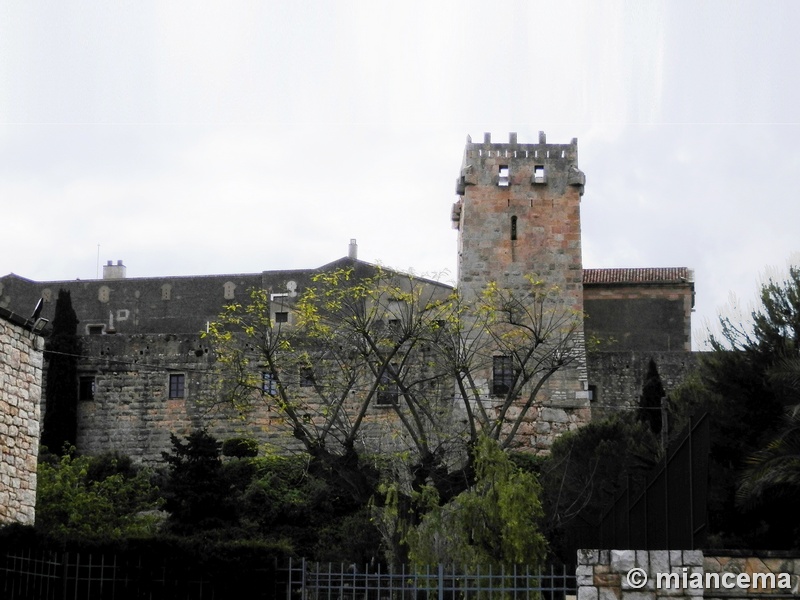 Imagen de Torre del Arzobispo