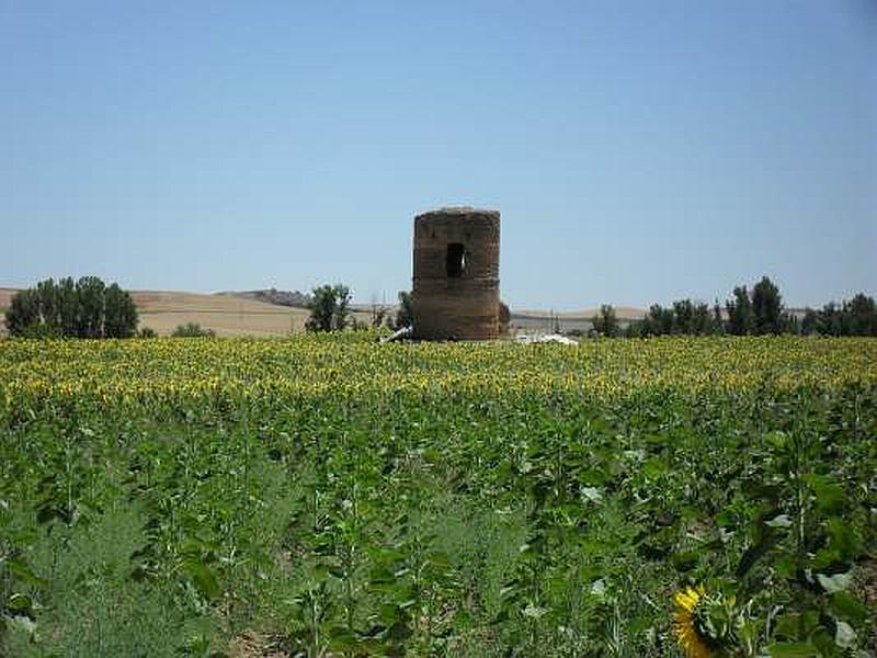 Imagen de Castillo de Foncastín