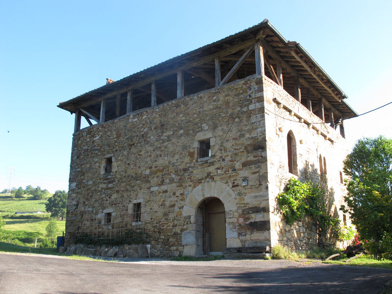 Imagen de Casa torre de Izurtza