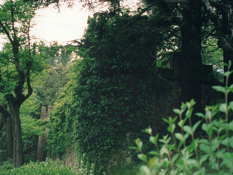 Imagen de Castillo de La Piedra