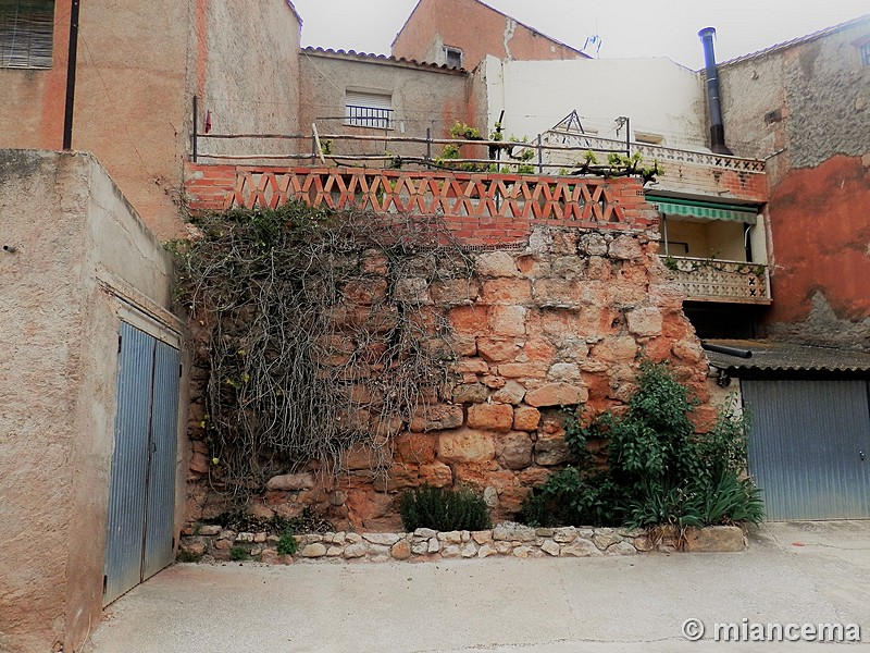 Imagen de Muralla urbana de Ariza